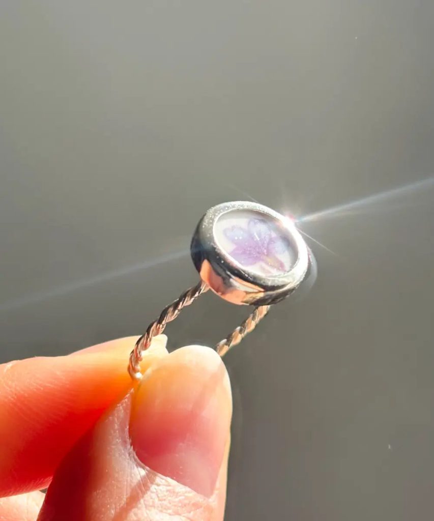 Anillo Raíz