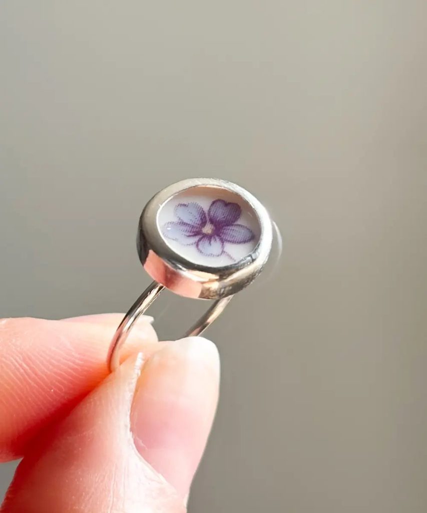 Anillo Terra